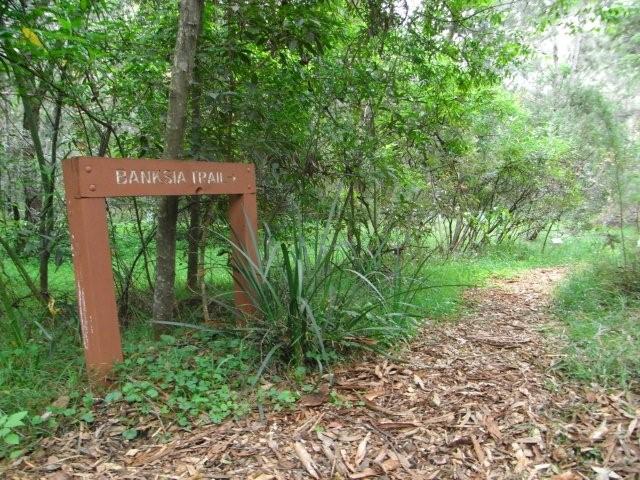 Banksia Trail