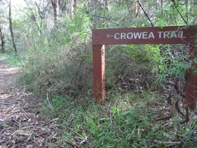 The Crowea Trail