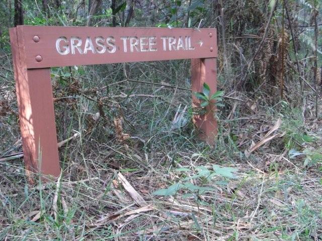 Grass Tree Trail