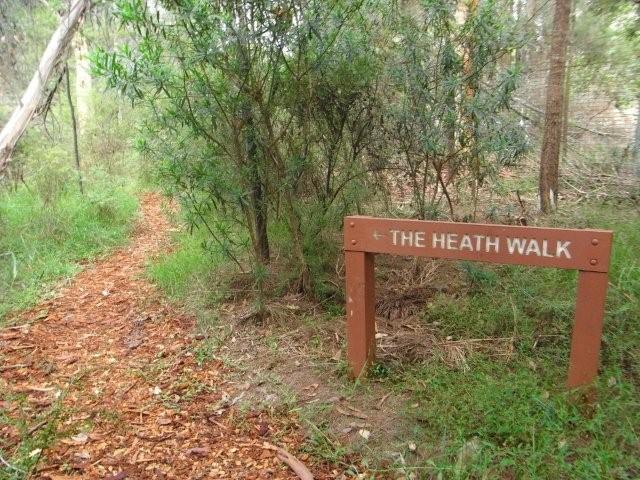 Heath Walk